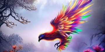寻仙手游里哪种凤凰更好？