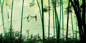 什么武侠手游才是真正的良心之作？