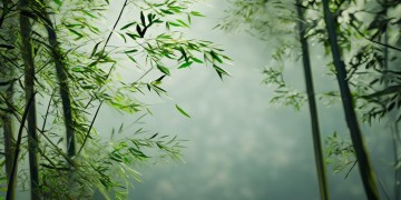 武林外传手游耗流量吗？