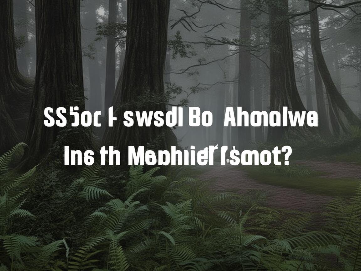 只狼会上架手游吗? 只狼会上架手游吗?
